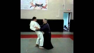 Sanchin Kata Bunkai [upl. by Jelena]