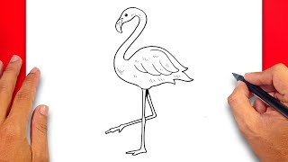 How to draw Flamingo  Easy Drawing Flamingo [upl. by Cyndi]