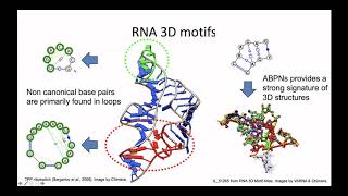 iRNA Keynote Noncanonical base pair interactions improve  Jérôme Waldispühl  iRNA  ISMB 2020 [upl. by Kcoj]