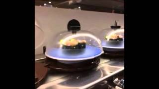 Amazing Sushi Restaurant  What a Progress in Japanese hightech system [upl. by Ruddy]