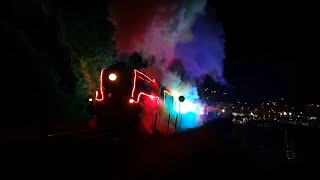 Dartmouth Steam Railway Train of Lights November 2021 [upl. by Fanchet]