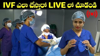 IVF ఎలా చేస్తారో LIVE లో చూడండి  IVF Step By Step Procedure  Dr Jyothi Fertility Expert  HQ [upl. by Nonnaer531]