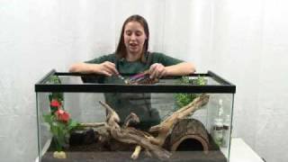 How to Set Up a Snake Enclosure [upl. by Munro799]