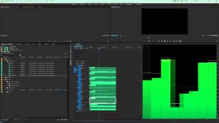 Five One Audio in Premiere Pro CC 2015 [upl. by Tarton363]