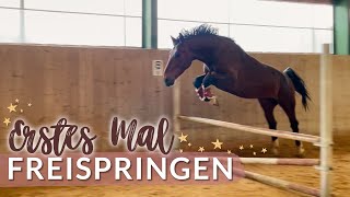 FREISPRINGEN 🥳 VLOG 75  Pilsali [upl. by Meedan]