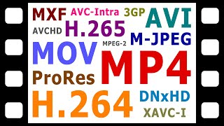 Explaining Digital Video Formats Codecs amp Containers [upl. by Kassity]