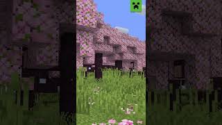 Minecraft BIOMA de CEREZO OFICIAL todo lo que debes saber minecraft tiktok bedrock shorts [upl. by Laroc]