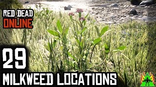 Red Dead Redemption 2 Online  MILKWEED LOCATIONS [upl. by Ettenan970]