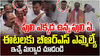 పులి ఎక్కడ ఉన్న పులి ఏ ఈటలకు బీఆర్ఎస్ ఎమ్మెల్యే ఇచ్చే మర్యాద చూడండి  MP Eatala Rajender  Swecha [upl. by Analeh]