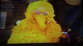 My Sesame Street Home Video Learning About Numbers Part 6 [upl. by Fleischer]