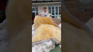 Mattress kang mat tatamimat pure sheep skin fur single student [upl. by Juna]