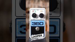 ElectroHarmonix 360 Nano Looper  MSP Musique [upl. by Hally]