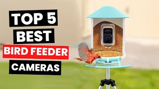 Top 5 Best Bird Feeder Cameras 2024 [upl. by Ellekcim]