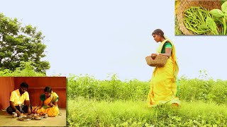 Cluster Beans Harvesting  Cluster beans Curry with Chapathi Goruchikkudu Curry Chowlakaya Curry [upl. by Amilb]