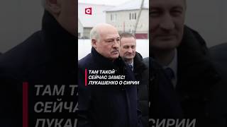 Там такой сейчас замес Лукашенко о Сирии лукашенко политика сирия новости война асад [upl. by Tarton590]