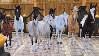 All 8 New Horse Colors in Star Stable Horses Game [upl. by Munafo]