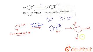 Caprolactam a starting material for the manufacture of nylon 6 is prepared by sulhpuric acid [upl. by Rolyat46]