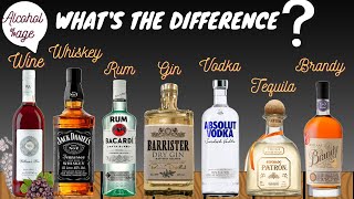 Difference between Alcoholic Beverages WineWhiskeyRumGinVodkaTequilaBrandyAlcohol percentage [upl. by Hebel]