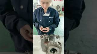 rexroth A4VG125 hydraulic pump repair assembly video [upl. by Chappy]