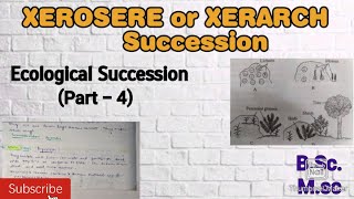 Ecological Succession Part4 Xerosere or Xerarch Succession Succession in Terrestrial Ecosystem [upl. by Maryanne]