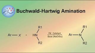 BuchwaldHartwig Amination Mechanism  Organic Chemistry [upl. by Tallie]