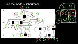 How to find mode of inheritance [upl. by Shipley]