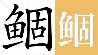 鲴的笔画顺序教学，鲴的意思，鲴的字义解释，鲴的字典查询，鲴的汉字编码。 Meaning of 鲴 definition of 鲴 stroke order of 鲴  汉字 汉字笔画 鲴 [upl. by Ahron]