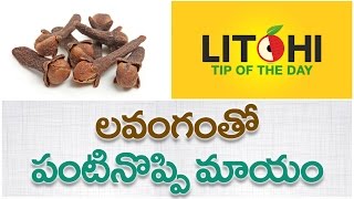 Health Benefits of Lavangam Clove  tips to toothache  tooth ache relief Litchi Tip of the Day [upl. by Einnahc]