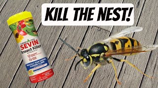 How to Kill Ground Hornets Underground [upl. by Annasus]