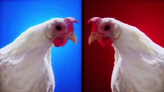 Techno Chicken Song Lengthened Version [upl. by Ilohcin]