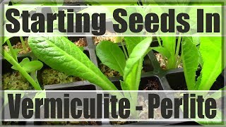 Starting Seeds Under Vermiculite  Perlite [upl. by Aluap]