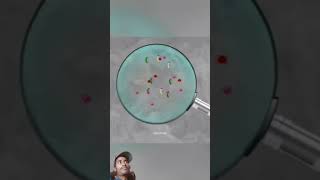 Very housfule genus experiment science amazingfacts scienceexperiment sciencefacts new short [upl. by Soloma558]