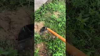 Choose a durable weeding hoe weeding hoe digging hoeing footblacksmith [upl. by Ahcsas]