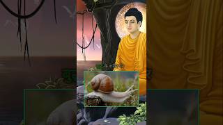 गौतम बुद्ध के बालो का रहस्य  Why are there snails on Buddhas head  wisdom buddha shorts [upl. by Hobie123]