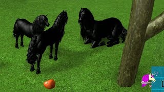 Friesian  Lets Play Roblox Horse Heart Online Horses Game Play Video [upl. by Belle]