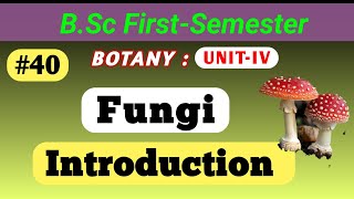 Fungi Introduction  General Characteristics Nutrition life Cycle reproduction  bsc msc fungi [upl. by Ines5]