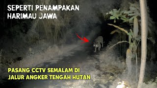 Pasang CCTV di Jalan Angker Malah Rekam Harimau Jawa  CCTV HOROR 32 [upl. by Aicemaj]