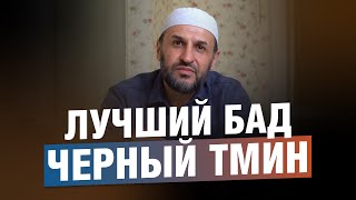 Черный тмин  лучший БАД  Саадуев МРасул [upl. by Allerbag]