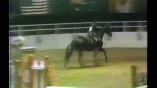 ASPCA Maclay Medal Finals  1985 1st round  Kristin Medall [upl. by Hurlee680]