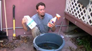 How to Kill Mosquitoes in Rain Barrels [upl. by Cloots]