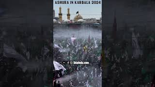 Glimpse of Ashura in Karbala 2024  Ya Hussain  Ya Abbas [upl. by Bink905]