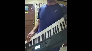 HECC YEAH Free Bird cover on keys freebird cover guitar keyboard casio shorts [upl. by Adnirim]