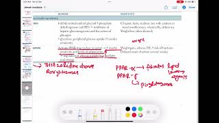 pioglitazone pharmacology endocrinology 87  First Aid USMLE Step 1 in UrduHindi [upl. by Adnil]