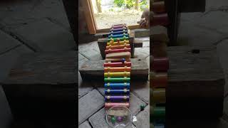 marble run vs xylophone asmrcolorfull balls18 shorts [upl. by Arehs]