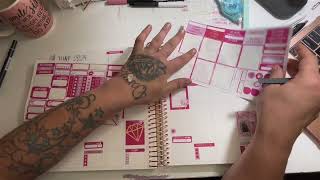 Weekly Plan With me in my PlannerEnvy vertical catchall planner [upl. by Betsey]