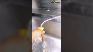 Heres what causes water pipes to vibrate [upl. by Emsmus]