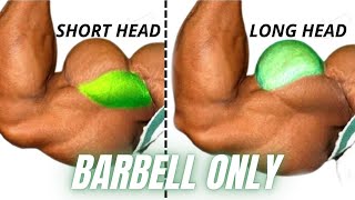 Top 4 best long head and short head biceps exercises at gym [upl. by Tudor]