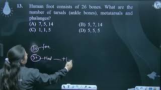 Human foot consists of 26 bones What are the number of tarsals ankle bones metatarsals and p [upl. by Aldora187]