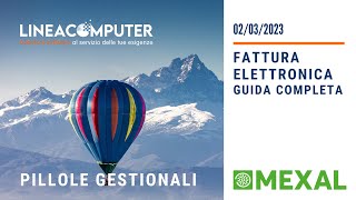 Fattura Elettronica in Mexal la guida completa [upl. by Nnalorac]