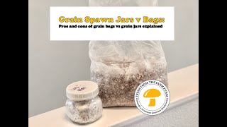 Grain Spawn Jars vs Bags explained Pros and cons of grain bags vs grain jars [upl. by Ebert986]